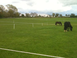 Retirement Livery services at Balterley Stables